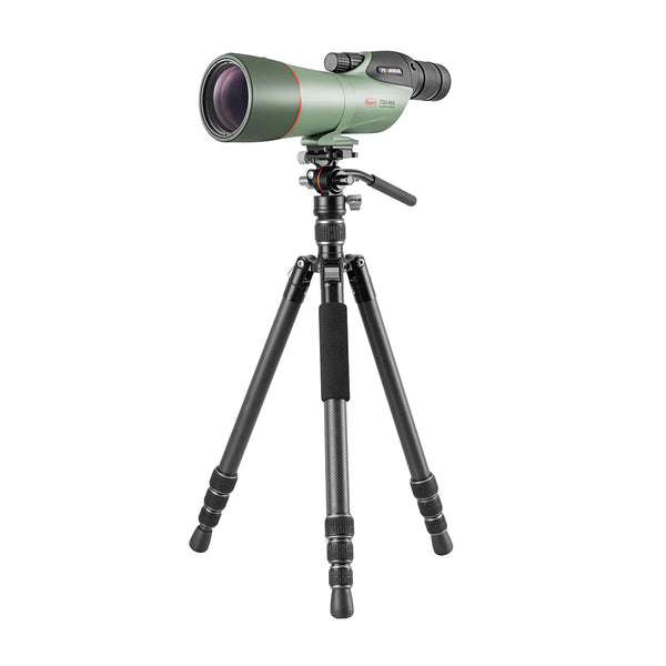 TSN-66SZM and VESTA GO 264CV12 Tripod - 1