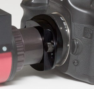 Daystar Interference Eliminator - T mount