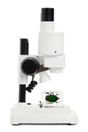CELESTRON S20 Stereo Microscope - 4