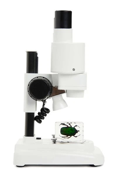 CELESTRON S20 Stereo Microscope