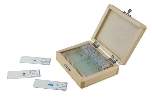 CELESTRON Prepared Slides -25 piece box - 2