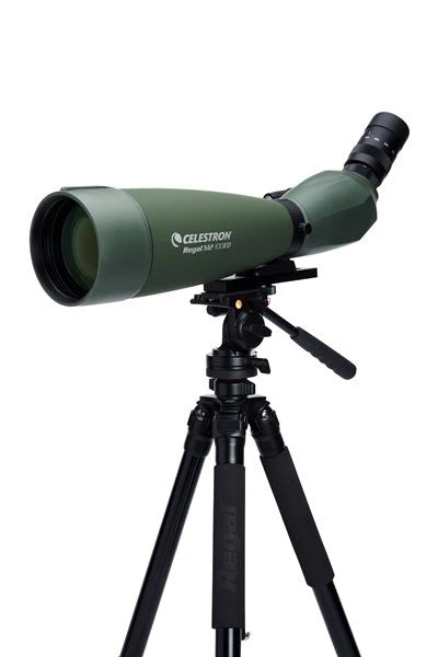 Celestron Regal M2 100ED - 6