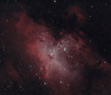 Celestron 8" Rowe Ackerman OTA - 4