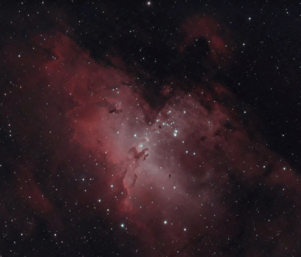 Celestron 8" Rowe Ackerman OTA - 4