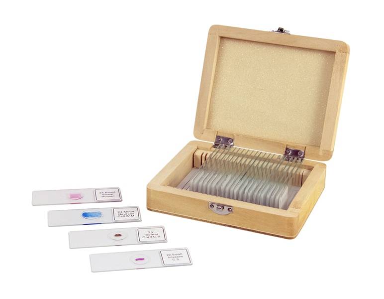 CELESTRON Prepared Slides -25 piece box