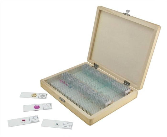 CELESTRON Prepared Slides - 100 piece box