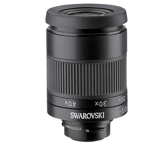 SWAROVSKI ATS 80 HD W- 20-60X