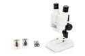 CELESTRON S10-60 Stereo Microscope - 3