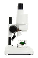 CELESTRON S10-60 Stereo Microscope - 4