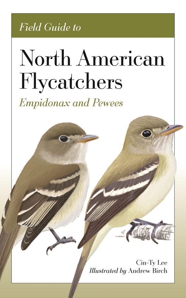 Field Guide to North American Flycatchers - 1