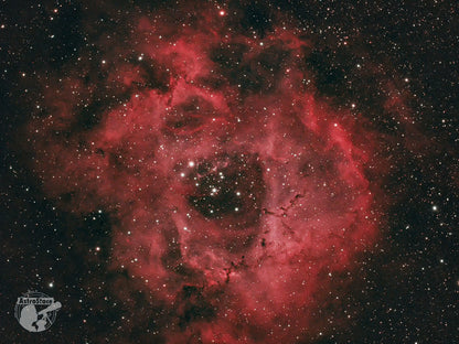 AA269CPROTEC_Stacey_Rosette_with_logo_1200w